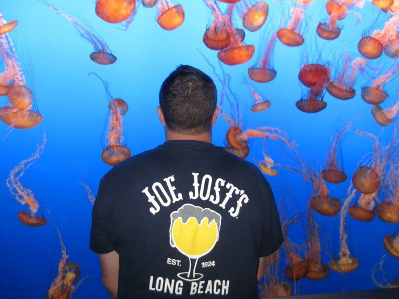 Aquarium of the Pacific, Long Beach